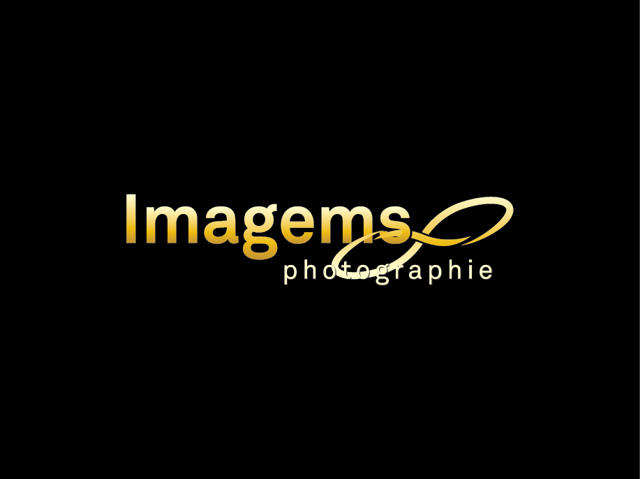 Logo Design by dhamkith for Imagems | Design #15474656