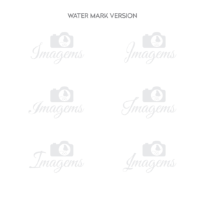 Logo Design by Muhammad Imran 3 for Imagems | Design: #15643544