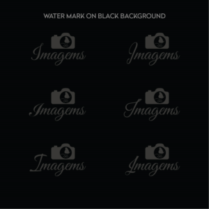 Logo Design by Muhammad Imran 3 for Imagems | Design: #15643551
