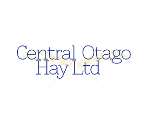 Logo Design by Lubin Stacey