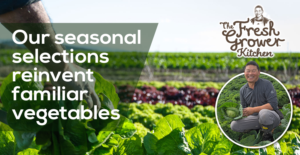 Graphic Design by Vixen Hipolito