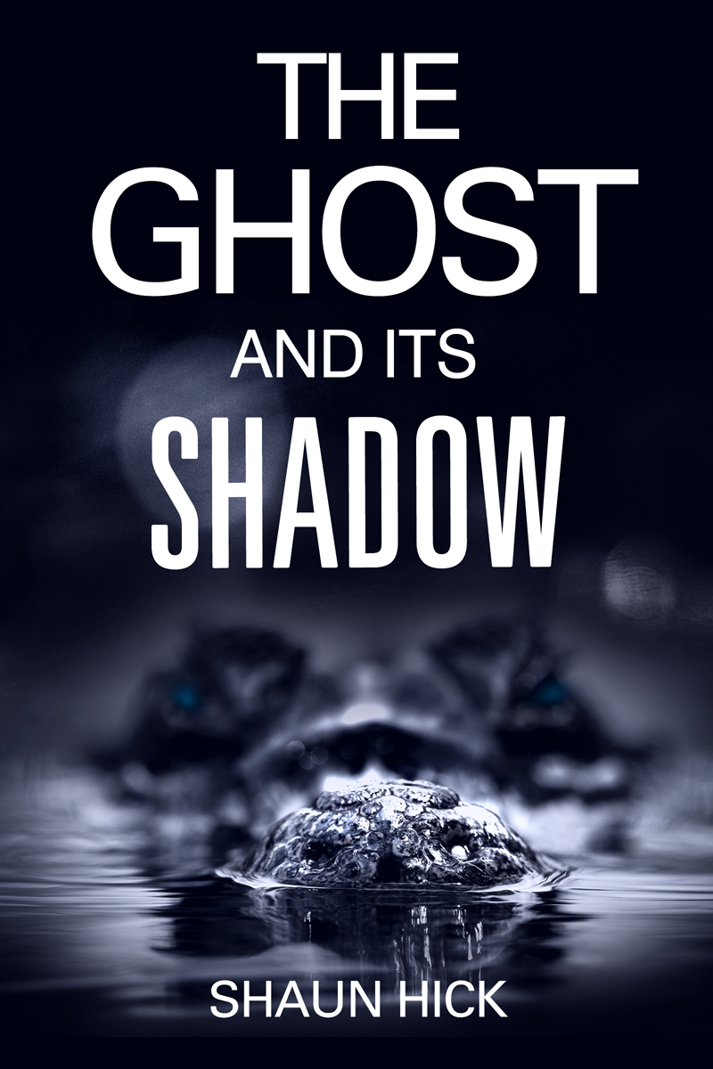 Book Cover Design by illuminati-design for this project | Design #2615725