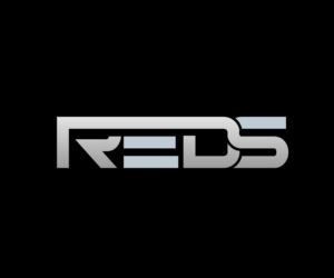 Logo Design by EGYPT KING for Rail Equipment Distribution Services Limited | Design: #15513486