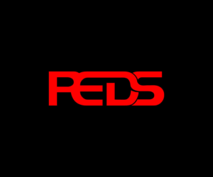 Logo Design by tani_sha321 for Rail Equipment Distribution Services Limited | Design: #15513450