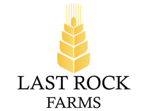 Logo Design by Mateusz_Mazur