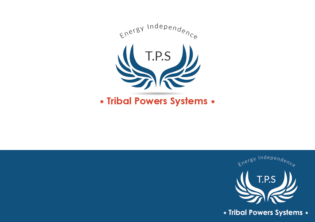 Logo Design by I²D² - Indigenous India Design & Development for Steve Solis Biz | Design #15493274