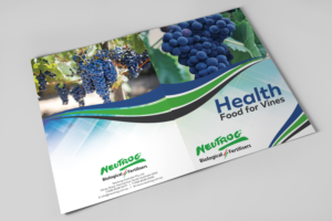 Flyer Design by Impressive Sol