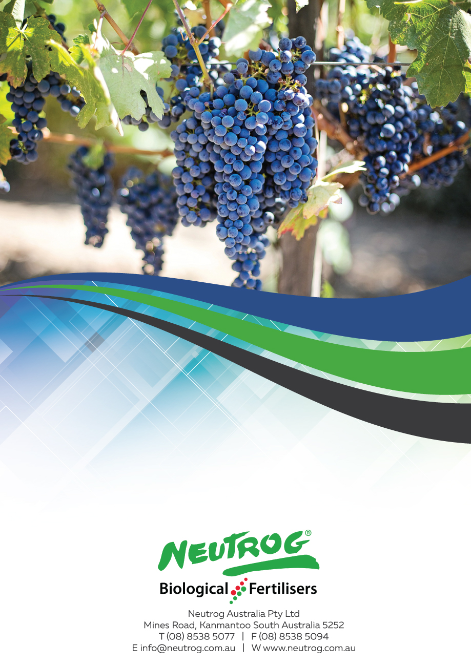 Diseño de Flyer por Impressive Sol para este proyecto | Diseño #15510358