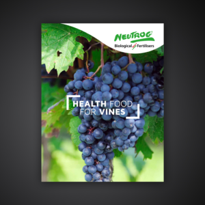 Health Food for Vines Brochure