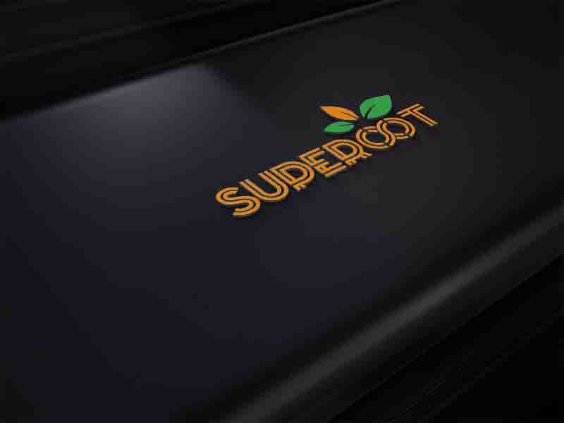 Diseño de Logo por Sherpa design para Exponential Studios Ltd. | Diseño #15515730