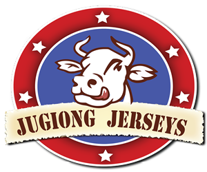 Logo Design by 123design