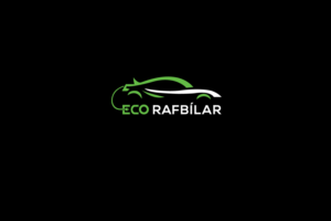 Logo Design by HAS