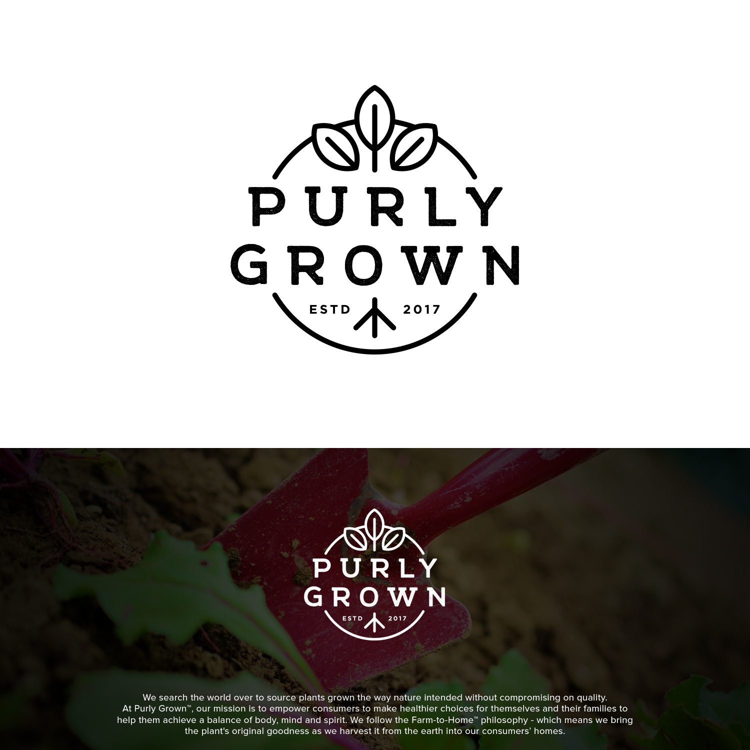 Logo Design by Grapismo Brand Studio for this project | Design #15512655