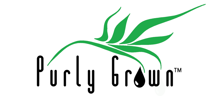 Logo-Design von MjBaca für dieses Projekt | Design #15510632