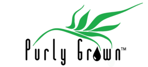 Logo Design by MjBaca