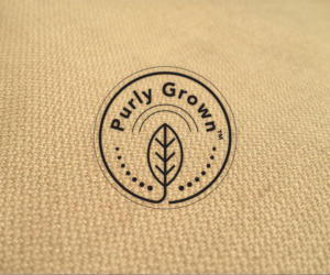 Logo Design by prothesis01