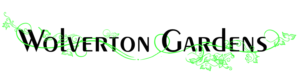 Logo Design by MajidRachman