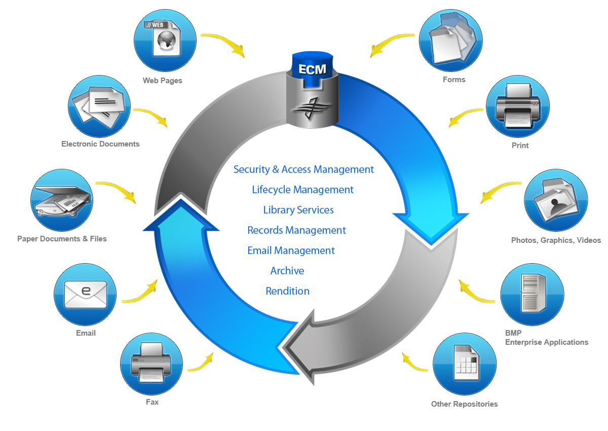 Illustration Design by Petar Yordanov for XeniT Solutions N.V. | Design #681033