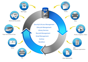 Illustration Design by Petar Yordanov for XeniT Solutions N.V. | Design: #681033