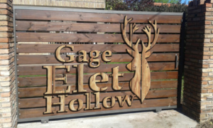 Logo Design by mgfrontado for this project | Design: #15514138