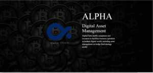Web Design by Aji Dwi P for Satoshift | Design #15617375