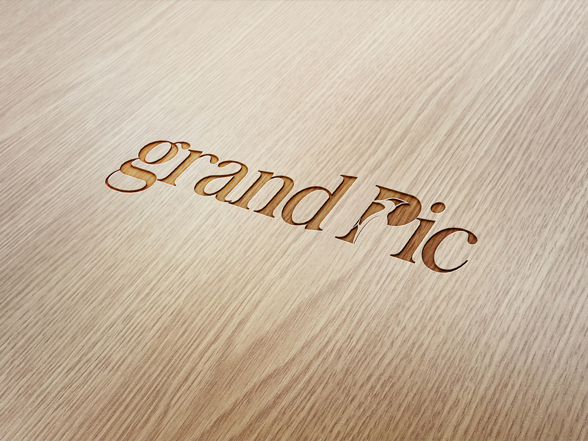 Logo Design by snowymasterdesigns for this project | Design #15572704