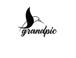 Logo Design by shachibelani for this project | Design: #15669320