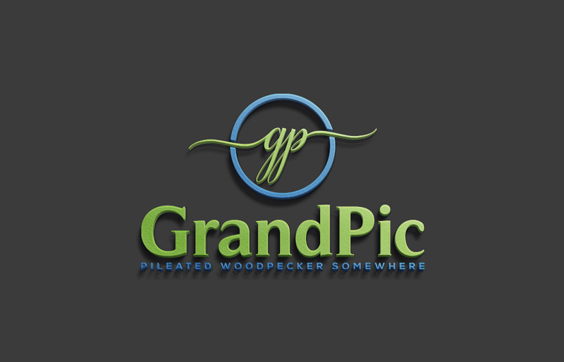 Diseño de Logo por IconicEcho para este proyecto | Diseño #15537486