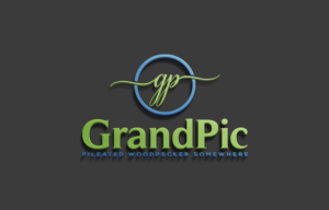 Logo Design by IconicEcho for this project | Design: #15537486