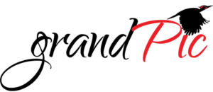 Logo Design by ielu for this project | Design: #15561553