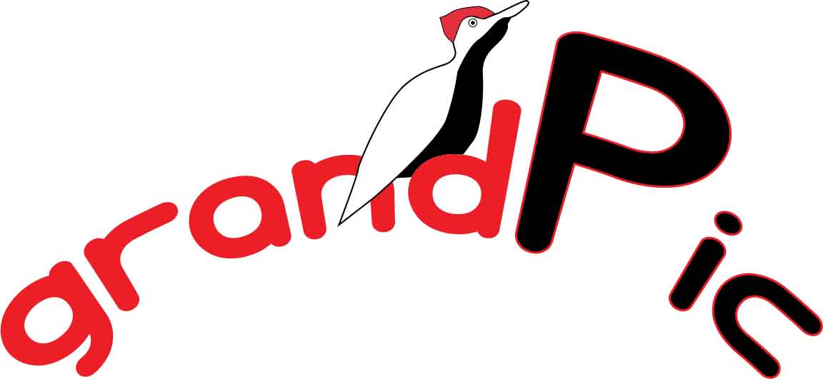 Diseño de Logo por ielu para este proyecto | Diseño #15598497