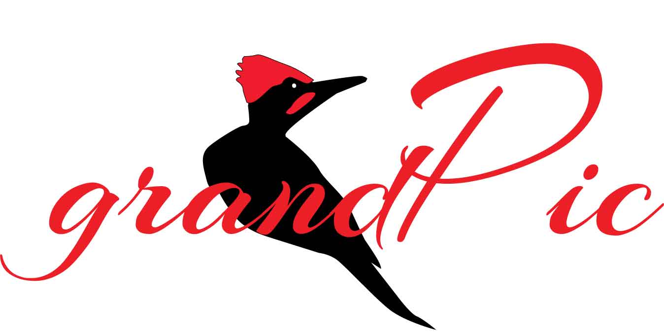 Diseño de Logo por ielu para este proyecto | Diseño #15598512