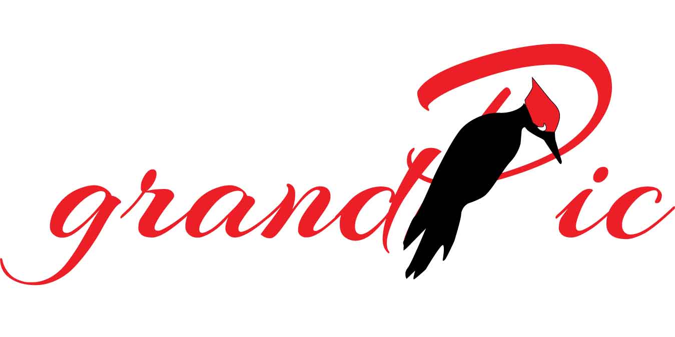 Diseño de Logo por ielu para este proyecto | Diseño #15598513