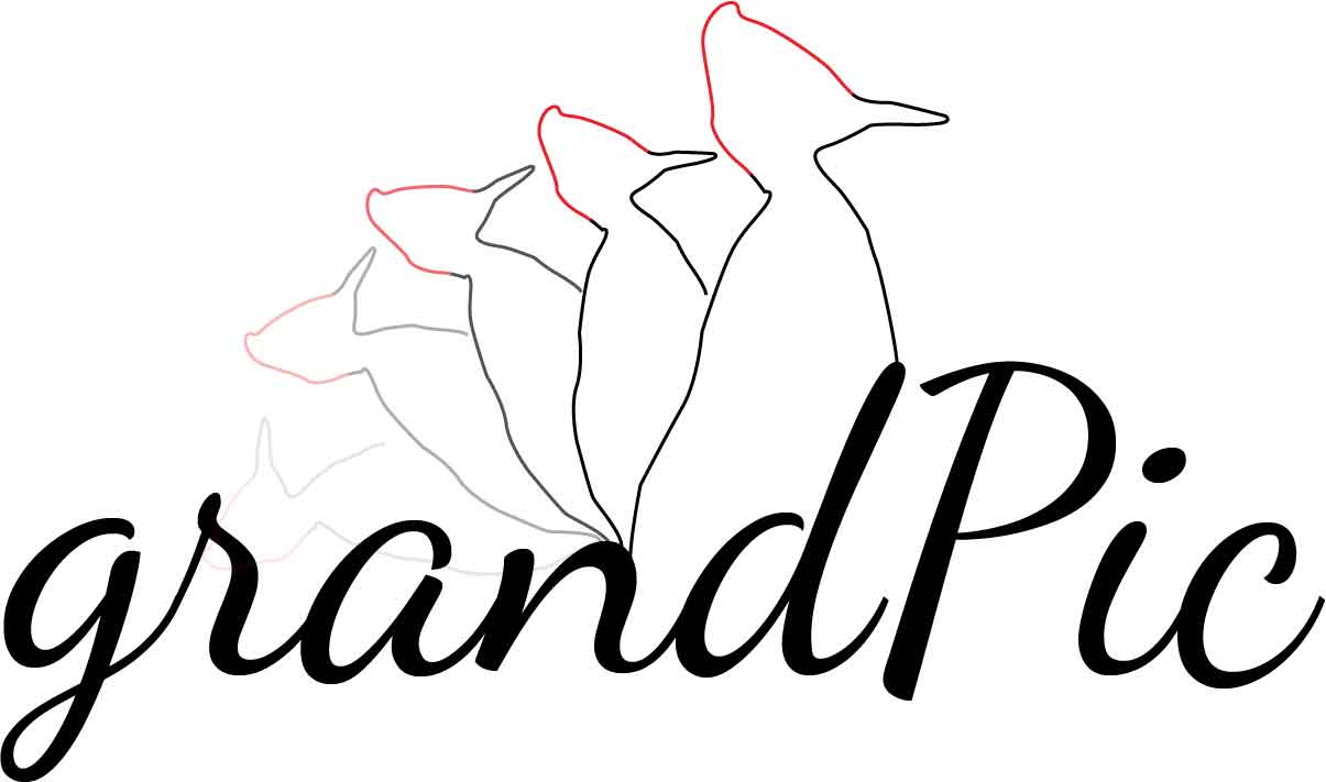 Diseño de Logo por ielu para este proyecto | Diseño #15631089