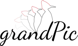 Logo Design by ielu for this project | Design: #15631089