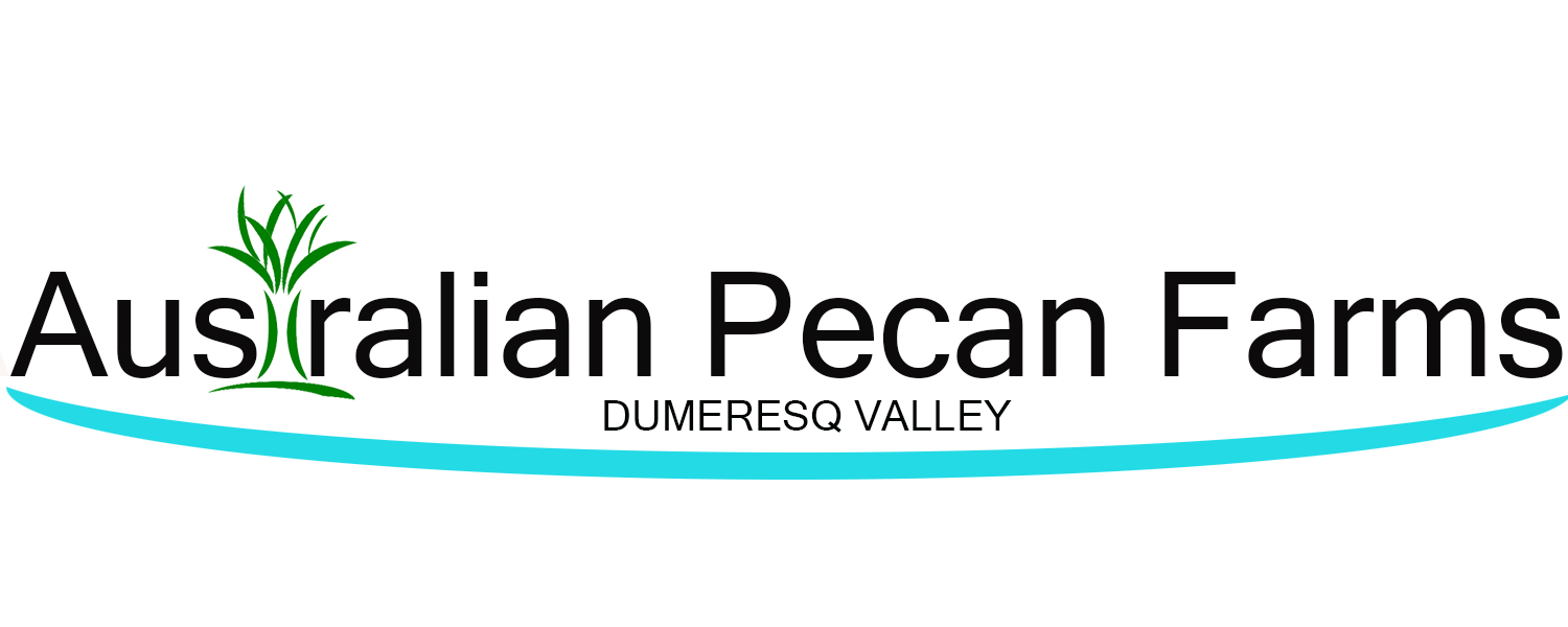 Diseño de Logo por calfavali para este proyecto | Diseño #15657106