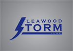 Logo Design by Michael Senior for this project | Design: #38114