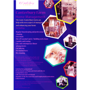 Flyer Design by Aneeq 2