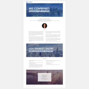 Wordpress Design by Ritz Paul for this project | Design: #15563914