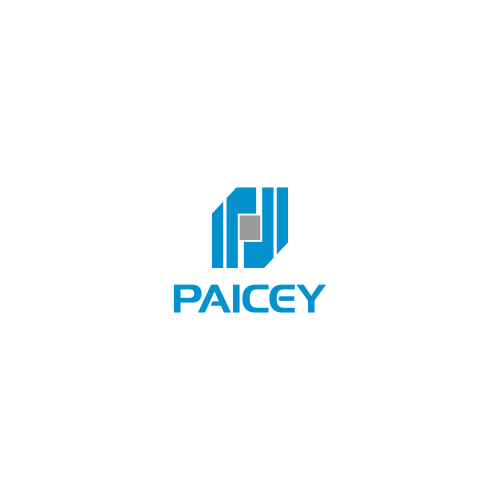Logo Design by DoMadic for Paicey | Design #15651224
