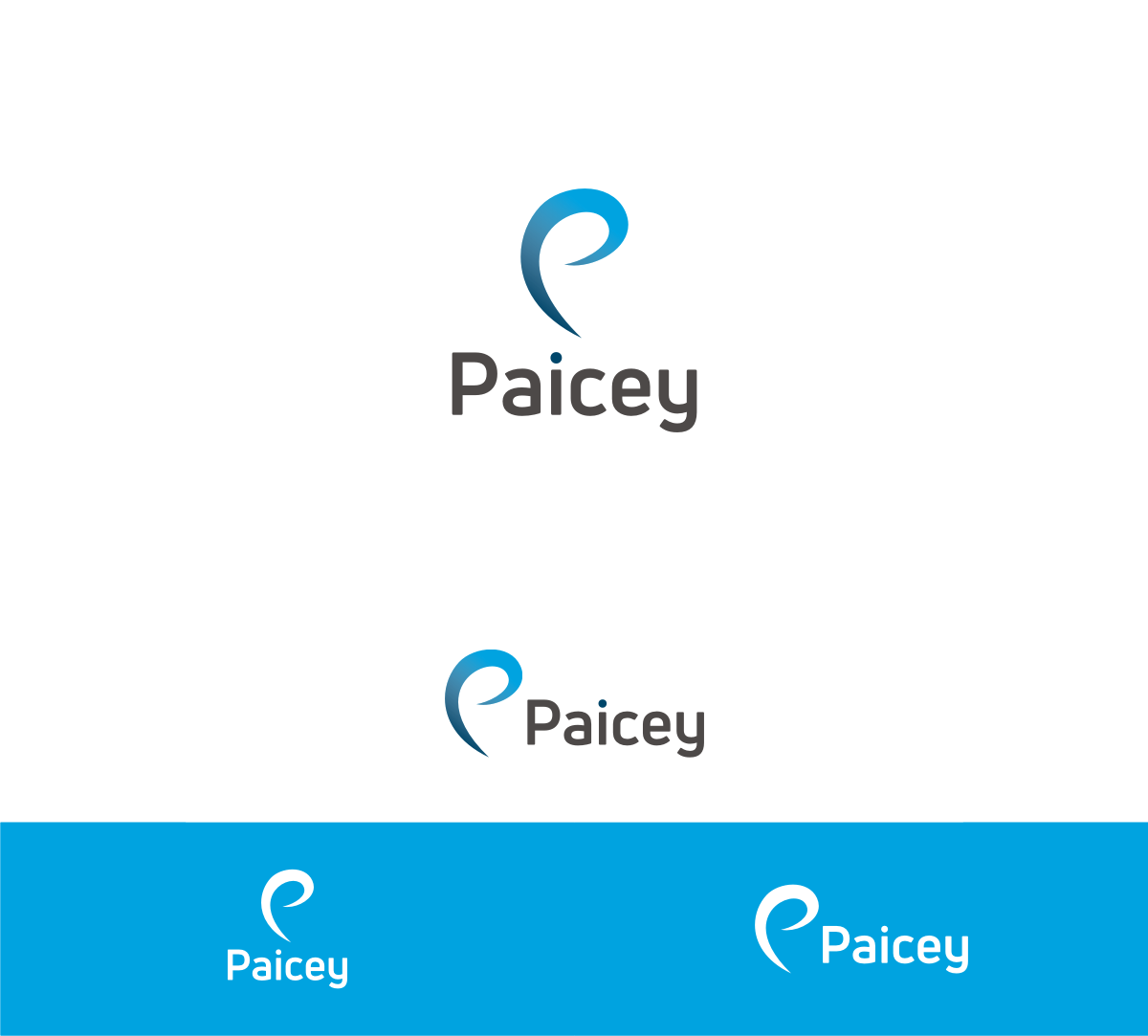 Logo Design by MKR for Paicey | Design #15553174