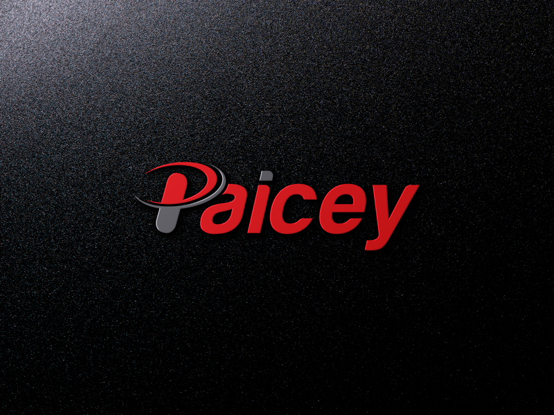 Logo Design by jan2you for Paicey | Design #15562310
