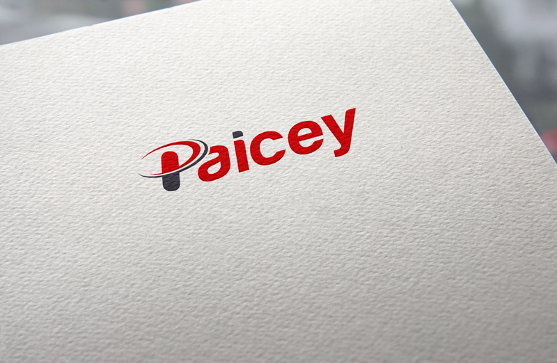 Diseño de Logo por jan2you para Paicey | Diseño #15562311