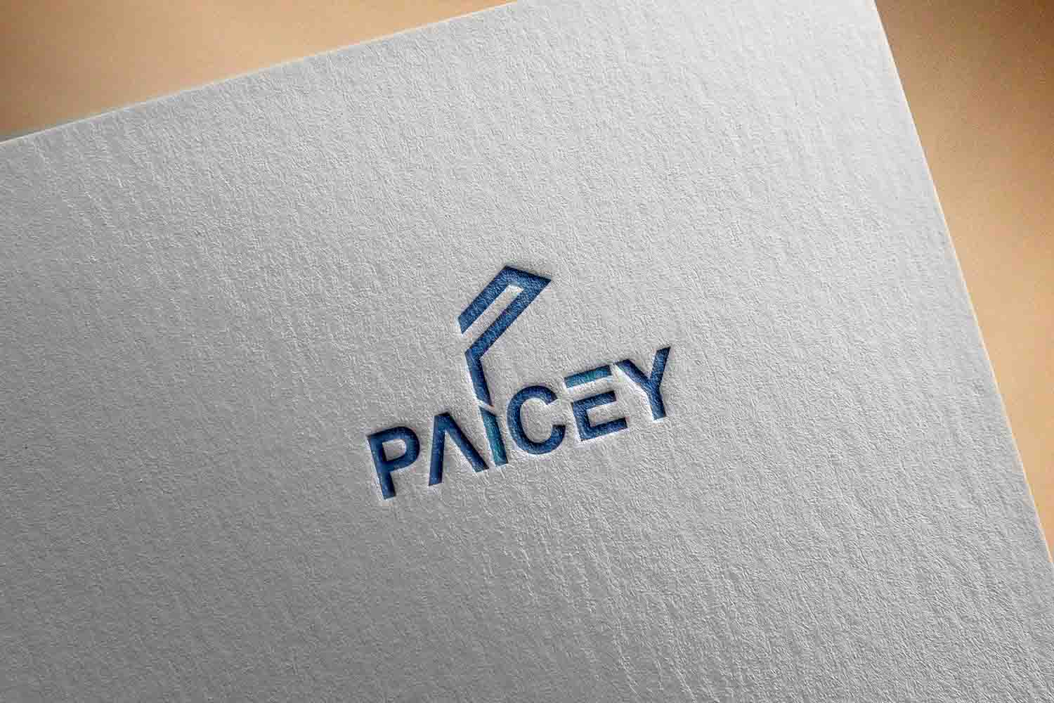 Diseño de Logo por Sherpa design para Paicey | Diseño #15565991