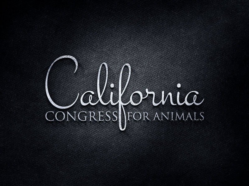 Logo Design by jan2you for this project | Design #15561204