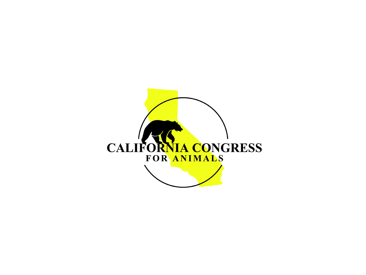 Logo Design by Being Creative for this project | Design #15630669