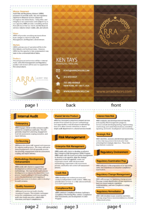 Financial Services Consultant Marketing Brochure | Diseño de Flyer por DesignerGuide