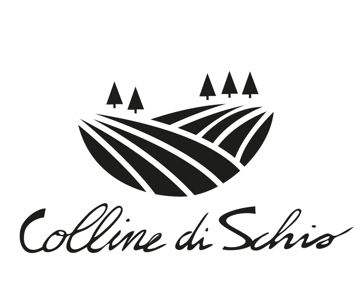 Logo Design by Metagraphika - web agency for this project | Design #15907998