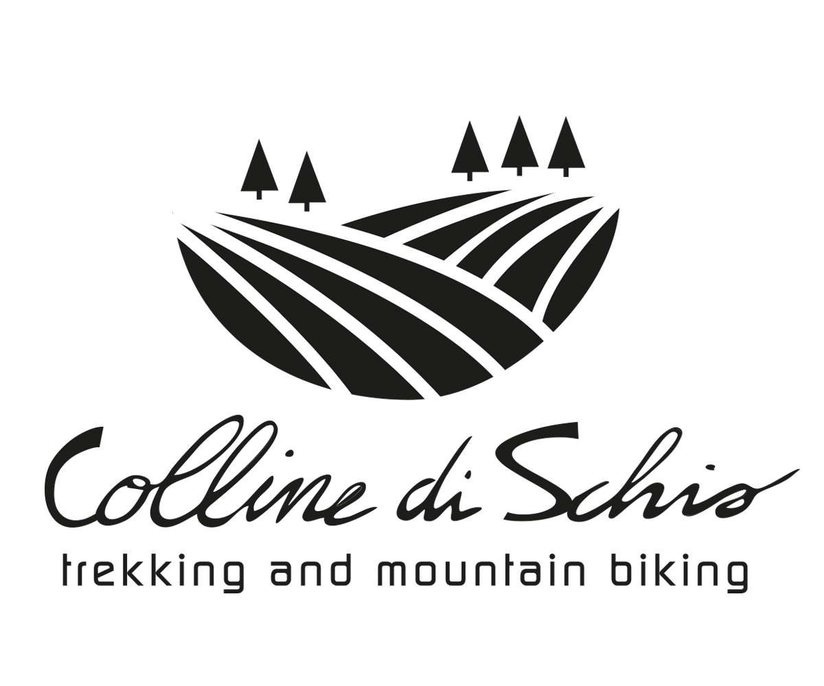 Diseño de Logo por Metagraphika - web agency para este proyecto | Diseño #15907999