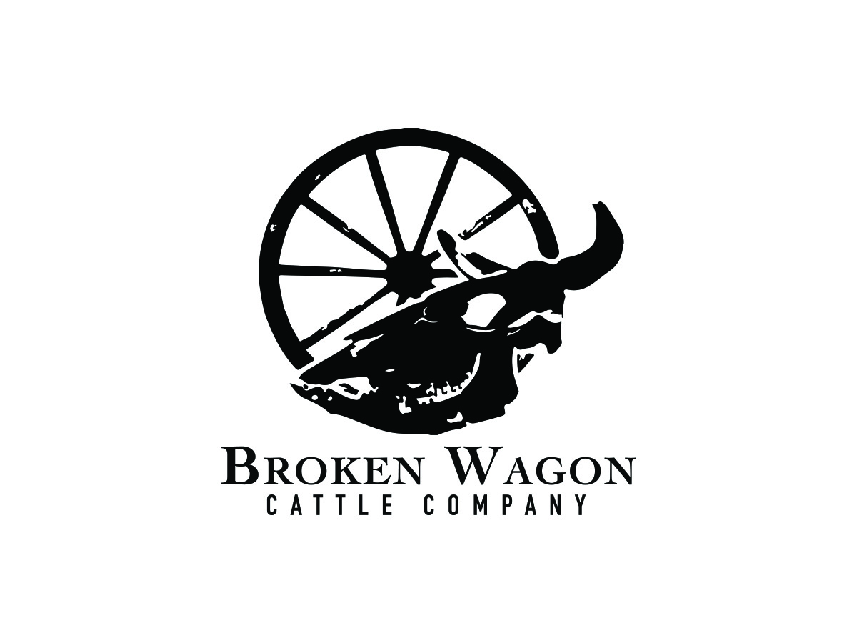 Logo Design by auroralexdesigns for this project | Design #6322941
